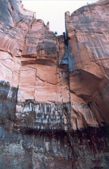 ../Images/078.Zion Canjon.jpg